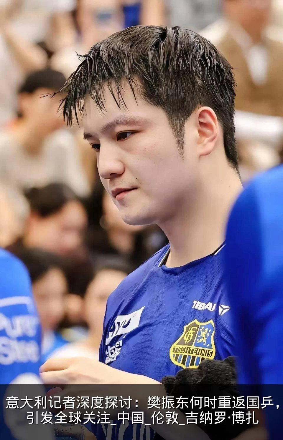意大利记者深度探讨：樊振东何时重返国乒，引发全球关注_中国_伦敦_吉纳罗·博扎
